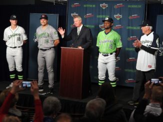 Introducing The Gwinnett Stripers! – Gwinnett Sports Commission